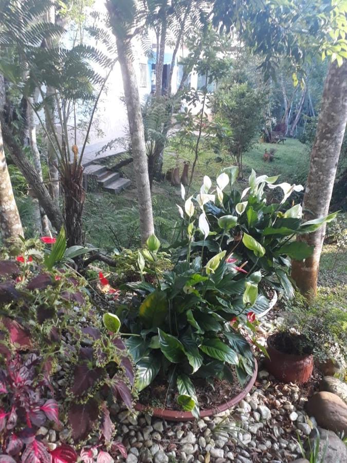 Chacara Da Promessa De Deus Villa Icatuacu Luaran gambar